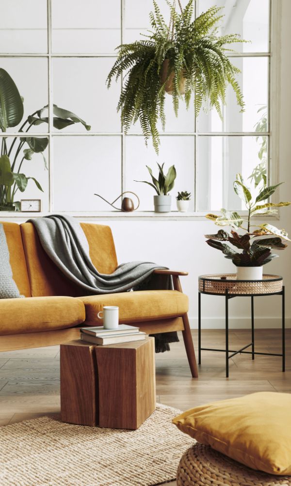 potenciando la venta y alquiler de propiedades con estilo